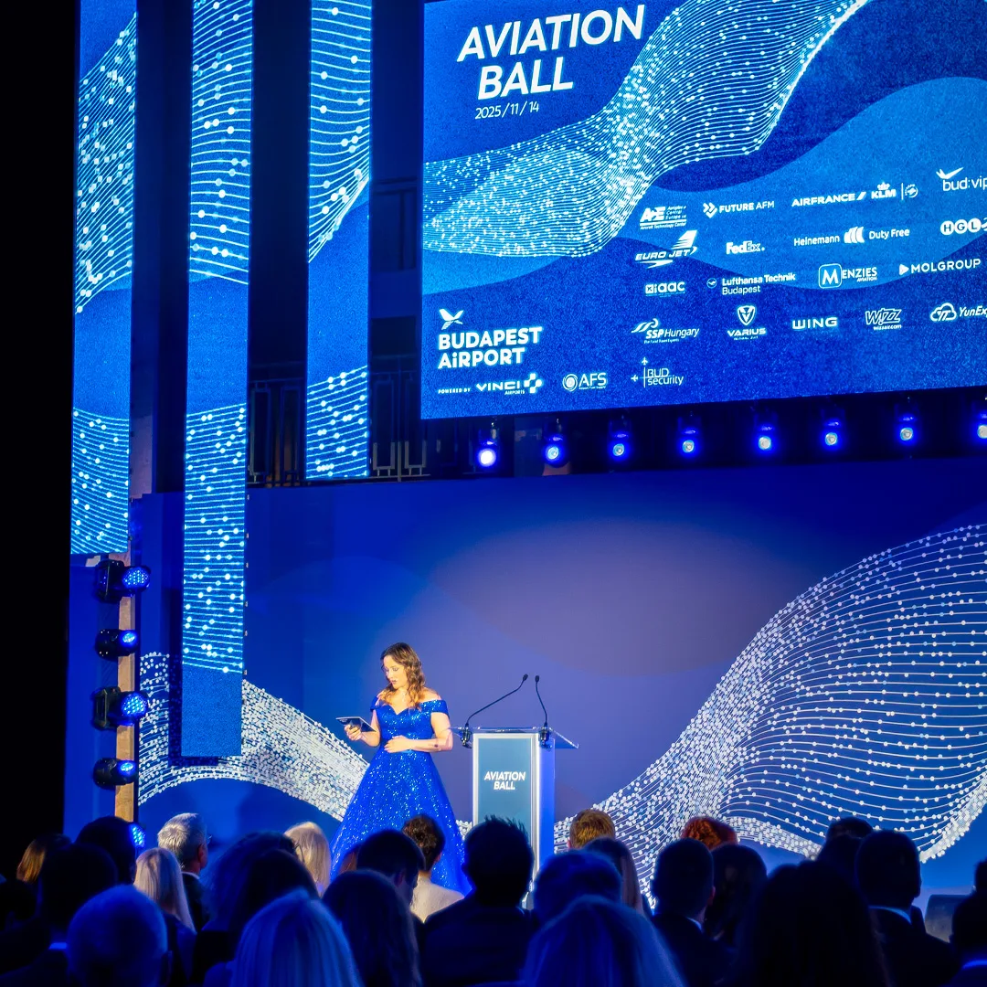 Bud Aviation Ball