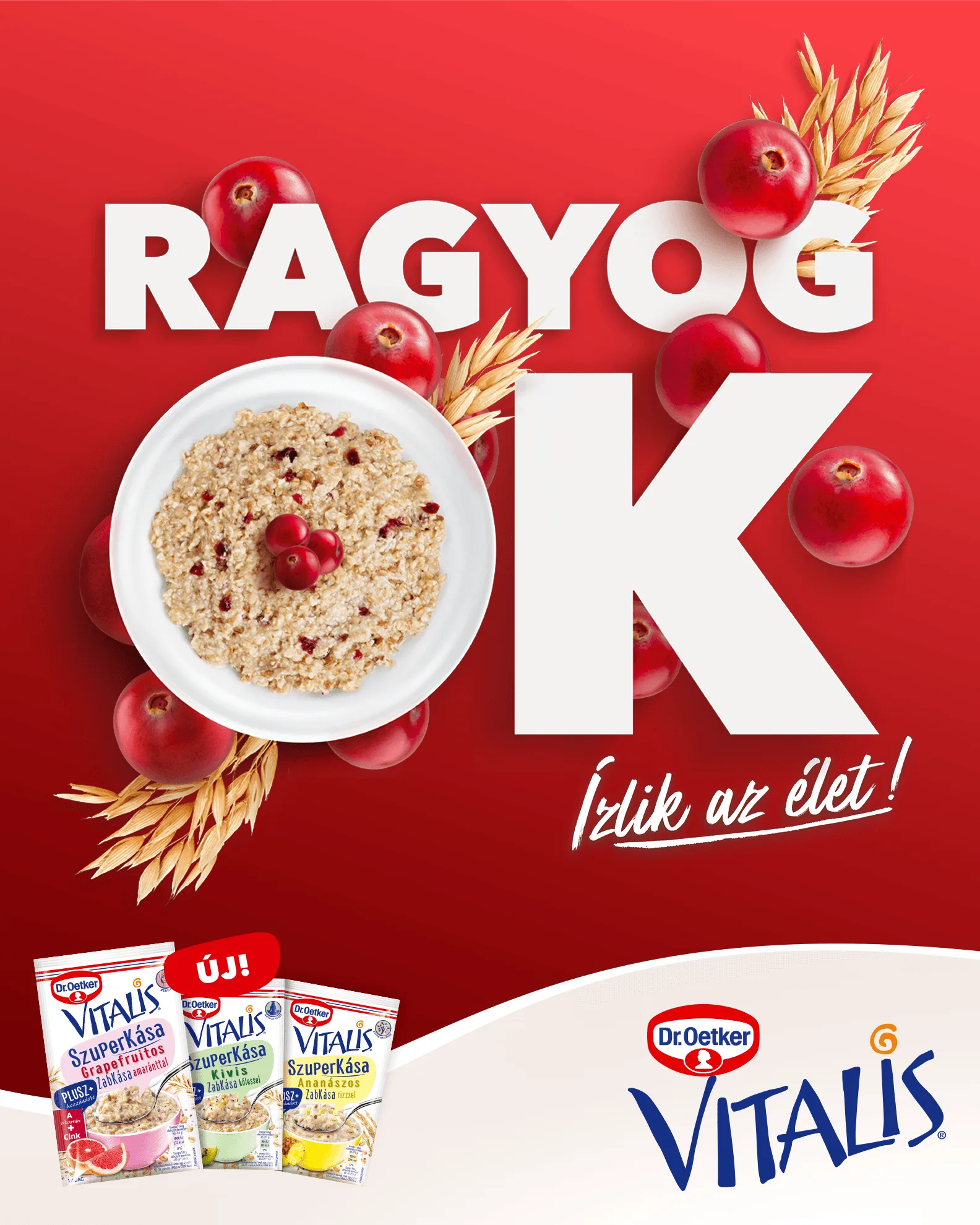 Development of an integrated product launch campaign for Dr. Oetker Vitalis